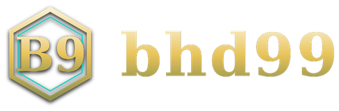 bhd99 logo
